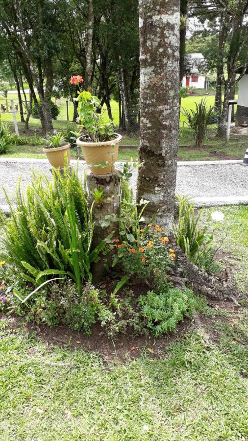 Recanto Do Saiqui Canela Dış mekan fotoğraf