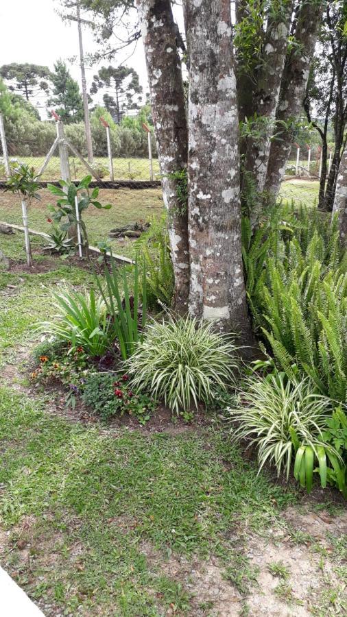 Recanto Do Saiqui Canela Dış mekan fotoğraf