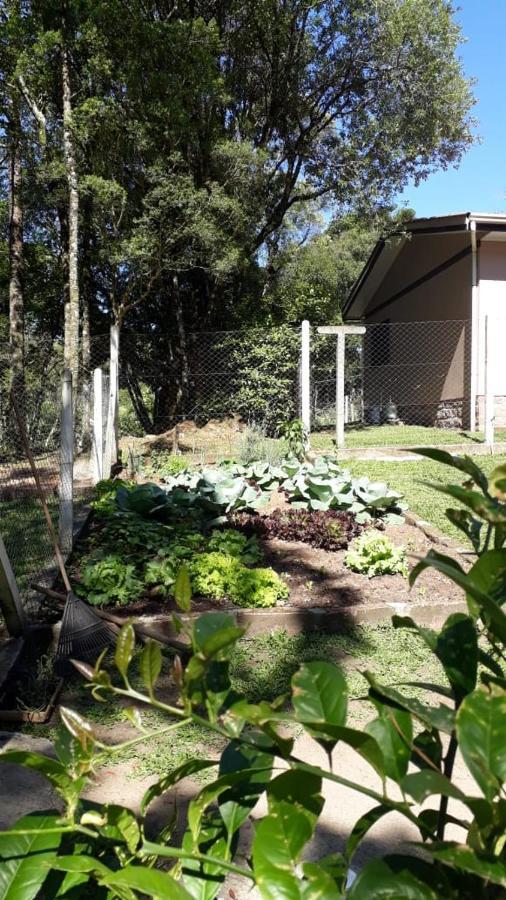 Recanto Do Saiqui Canela Dış mekan fotoğraf